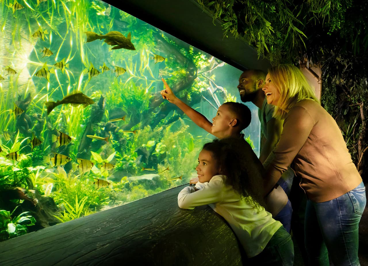 COMBO: Madame Tussauds London + SEA LIFE London Aquarium Ticket - image 13