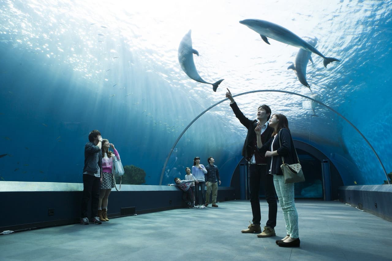 Yokohama Hakkeijima Sea Paradise - imagen principal