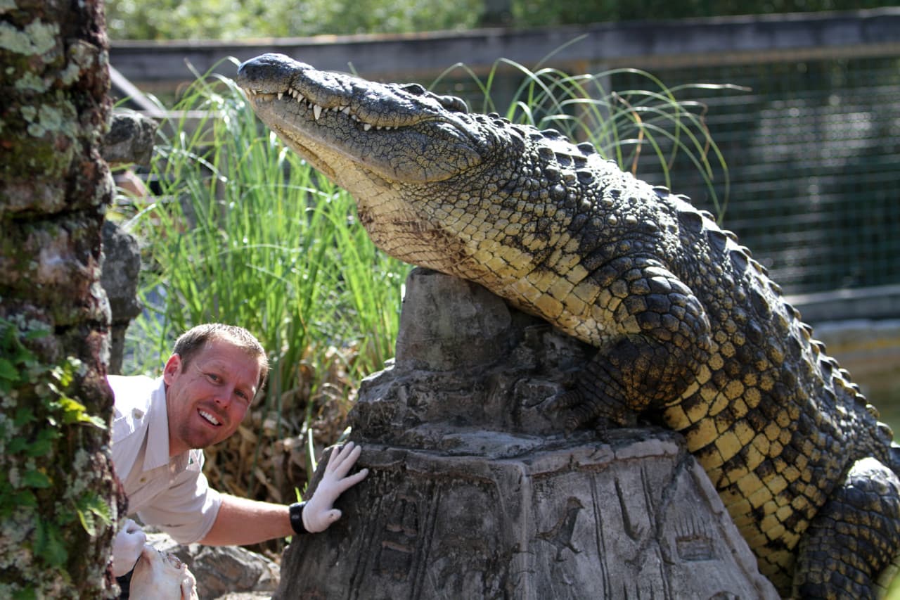 Go City Orlando All-Inclusive Pass: Save up to 50% on Attractions - imagen 8