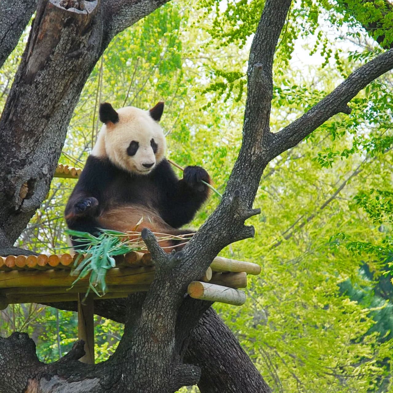 Zoo Aquarium Madrid - main image