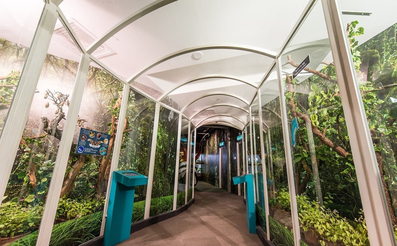 Entopia by Penang Butterfly Farm Ticket - image 19
