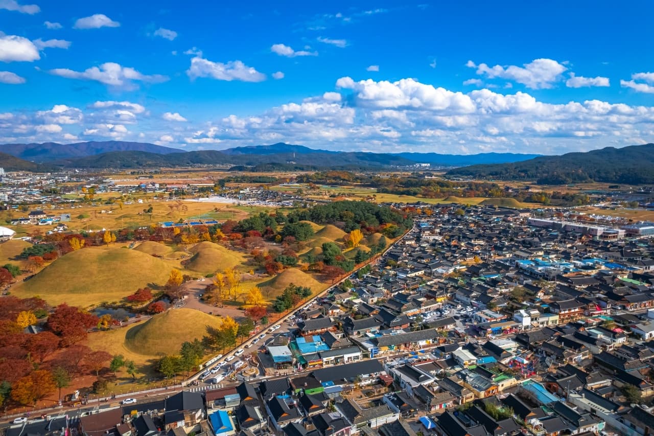 Gyeongju Autumn Foliage One Day Tour from Busan - image 6