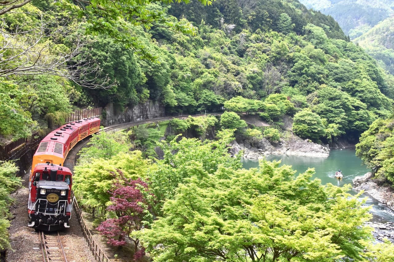 Sagano Romantic Train - image 6