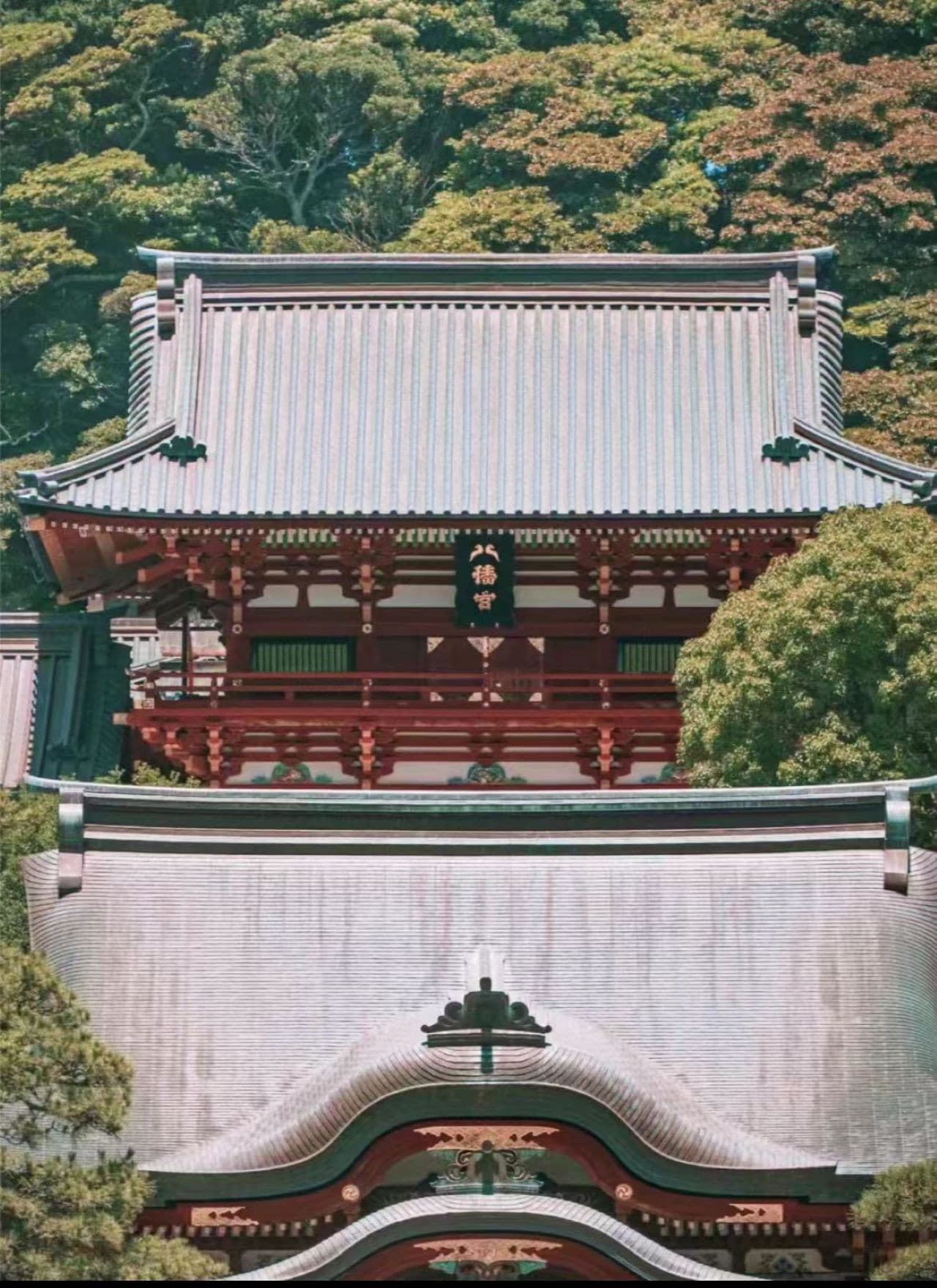 (도쿄 출발/슬램덩크 성지) 고토쿠인 절과 에노시마 당일치기 투어  - 이미지 3