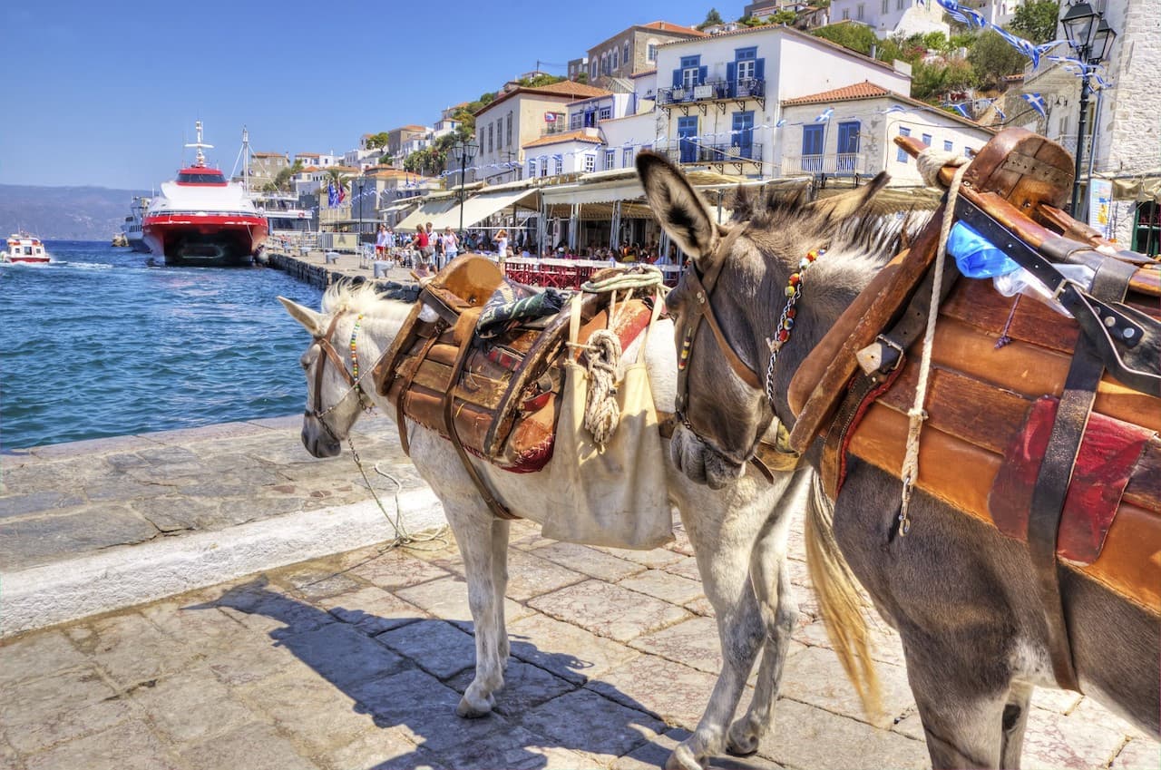 Poros, Hydra, and Aegina Islands Cruise and Full-Day Tour - image 9