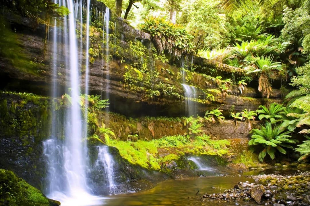 Russell Falls Tour from Hobart - image 2