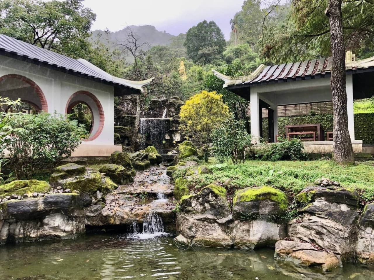 Pinglin Tea Culture and Maokong Full-Day Tour from Taipei - image 4