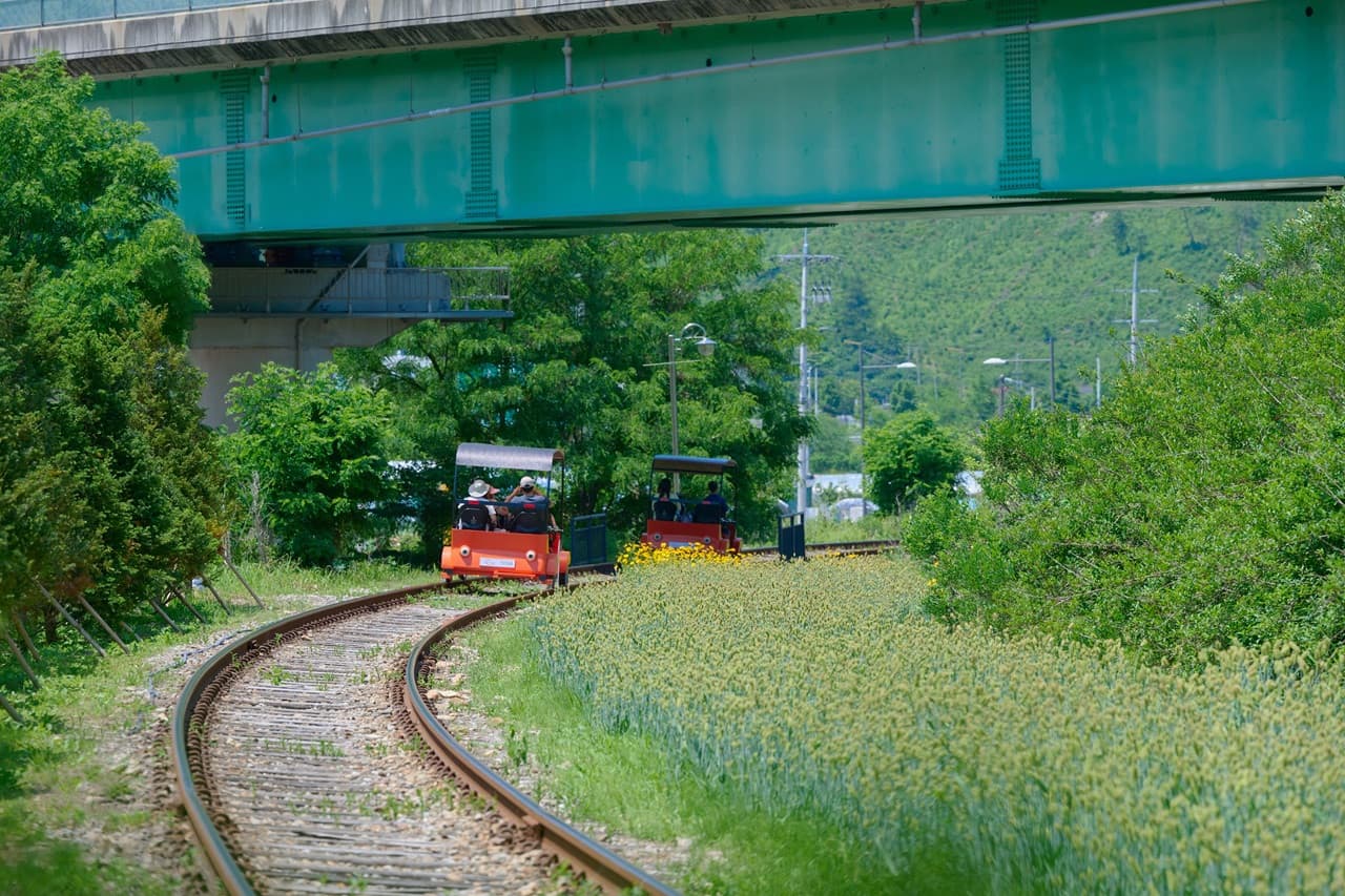 Nami Island, Mount Seorak, and Gapyeong Rail Bike Full-Day Tour from Seoul - image 22