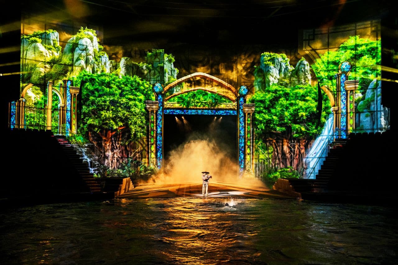 Entrada para el espectáculo House of Dancing Water en Macao - imagen 5