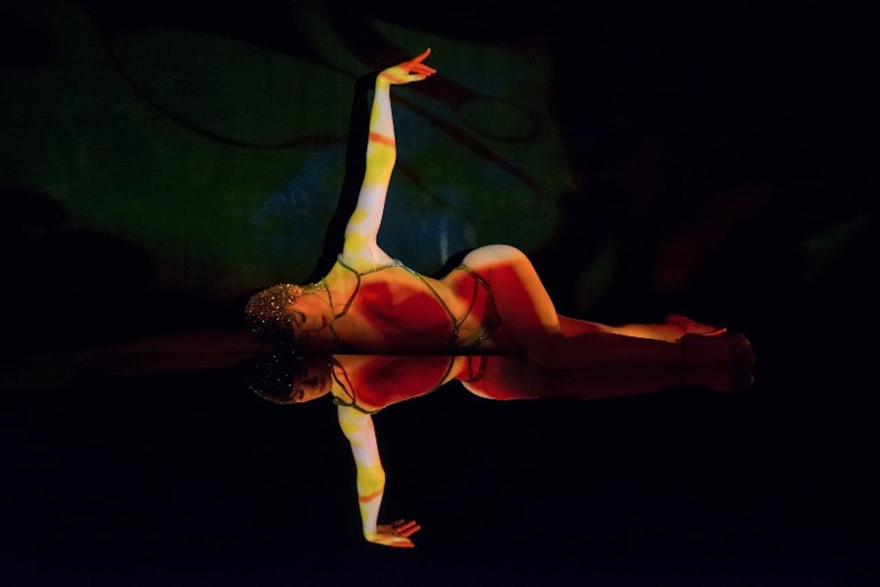 Crazy Horse Paris Show Ticket - imagen 2