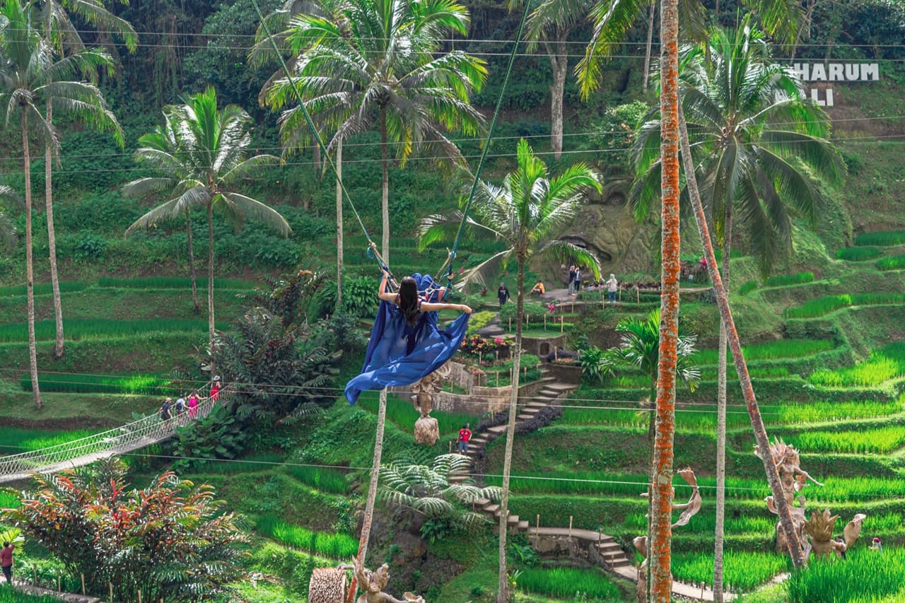 Alas Harum Bali: columpio, skybike y tirolesa - imagen 5