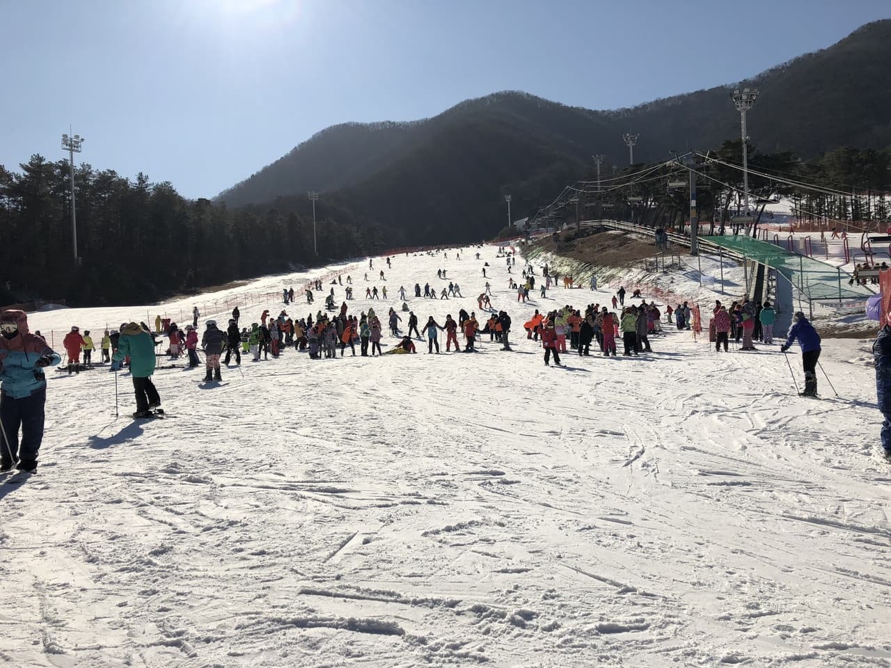 Jisan Forest Ski Resort Full-Day Tour from Seoul - imagen 2