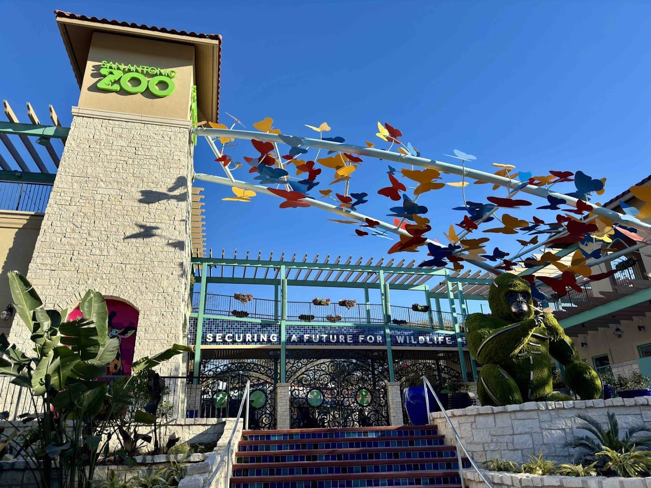 San Antonio Zoo Ticket - image 5