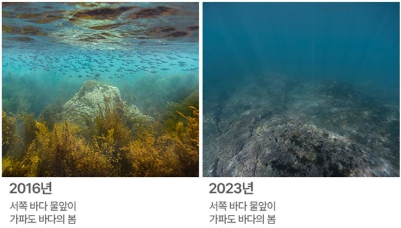 Aqua Planet Jeju Aquarium Ticket - 이미지 17