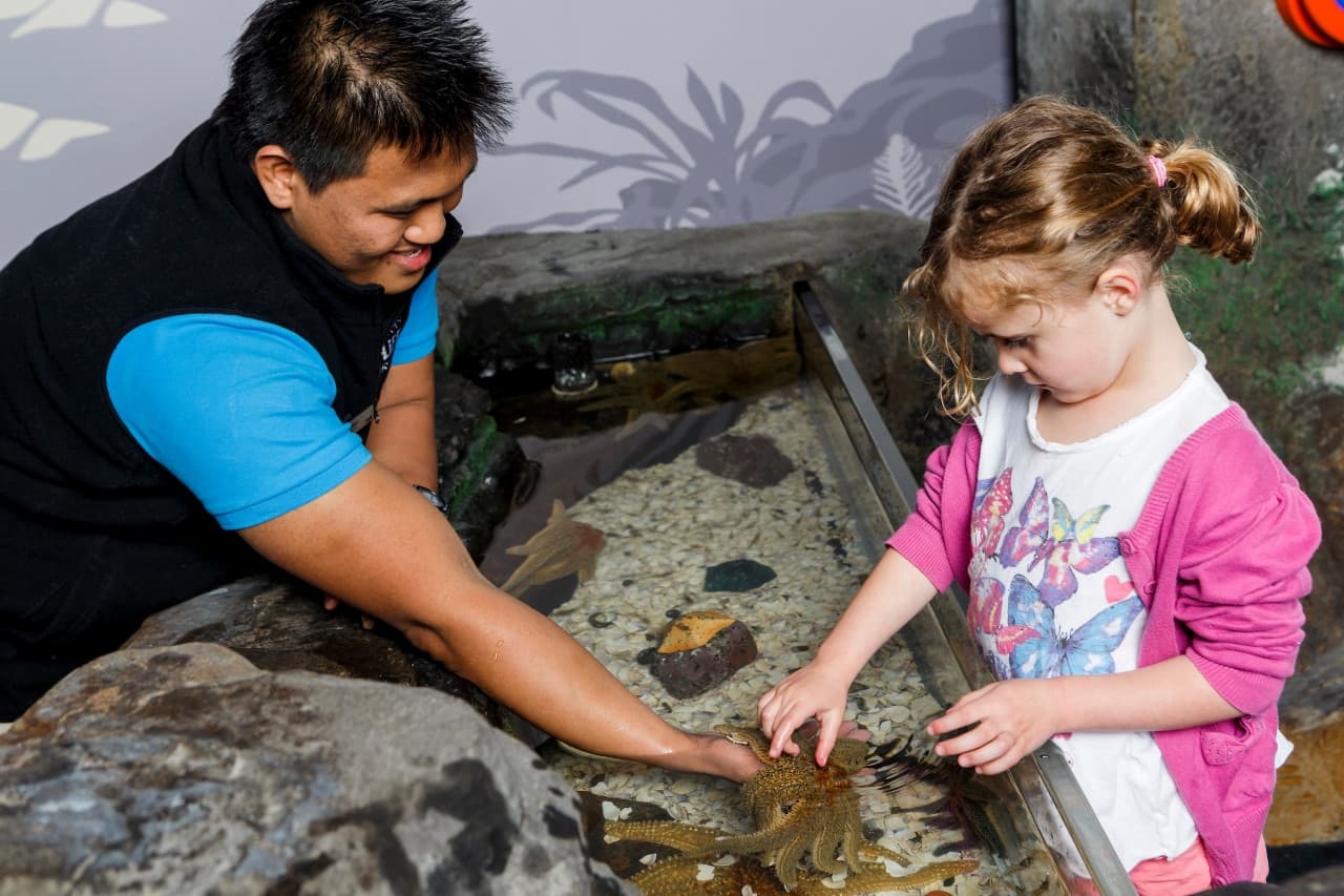 Entrada al acuario SEA LIFE Kelly Tarlton's - imagen 4