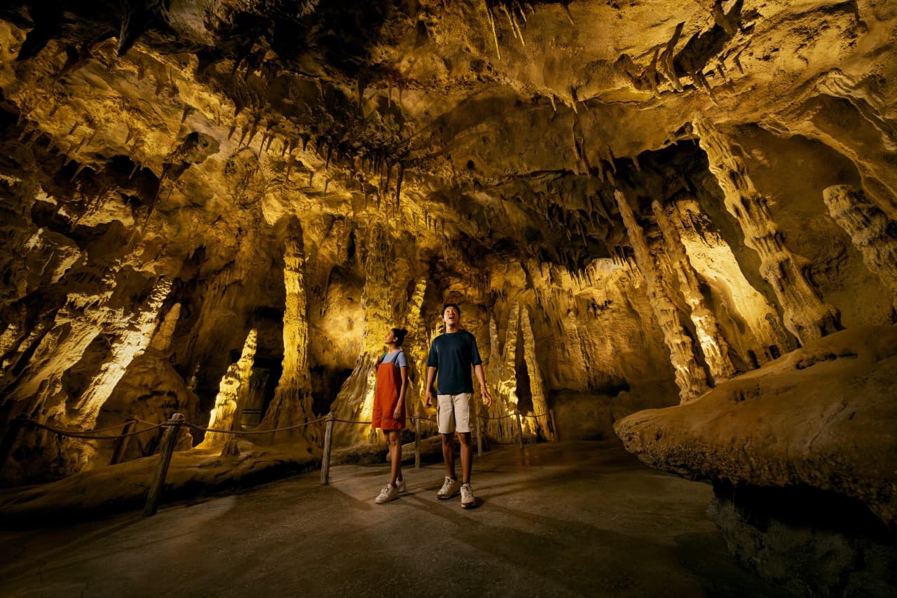 Mandai Destination Pass: Up to 2 Attractions in 1 Day - image 10