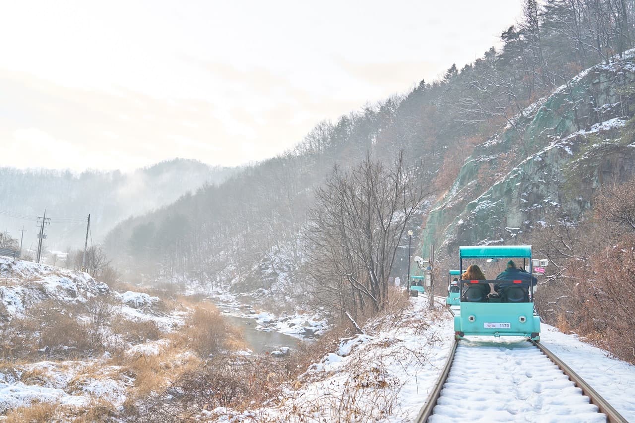 Nami Island, Mount Seorak, and Gapyeong Rail Bike Full-Day Tour from Seoul - image 9