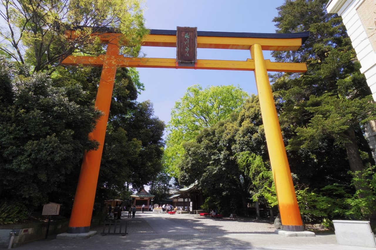 Seibu Kawagoe Pass - image 3