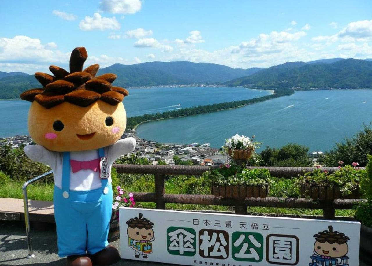 JR Kansai WIDE Area Pass - image 10