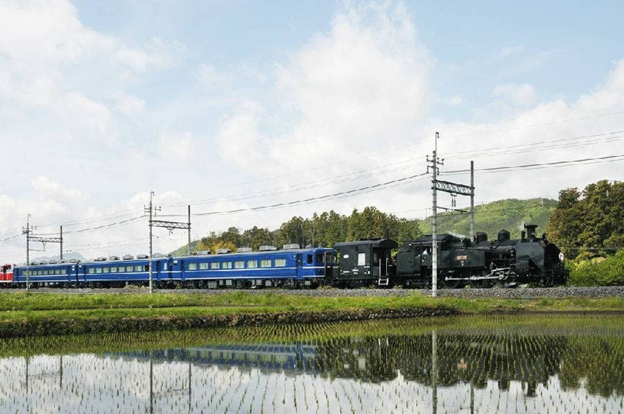 Nikko Pass All Area - imagen 2