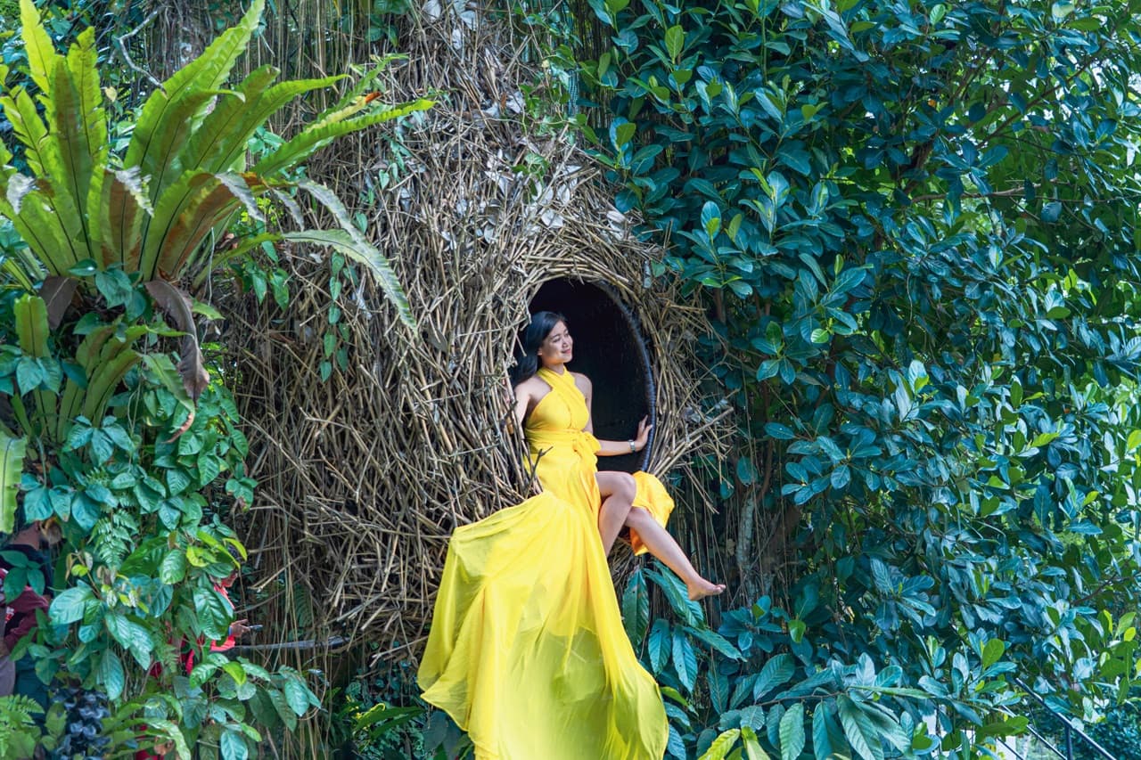 Alas Harum Bali: Swing, Skybike, and Zipline - image 14