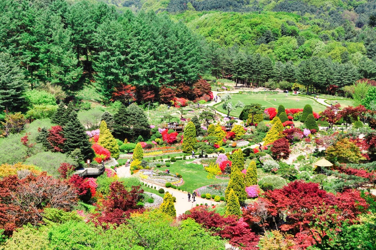 Nami Island, Mount Seorak, and Garden of Morning Calm Full-Day Tour from Seoul - image 26