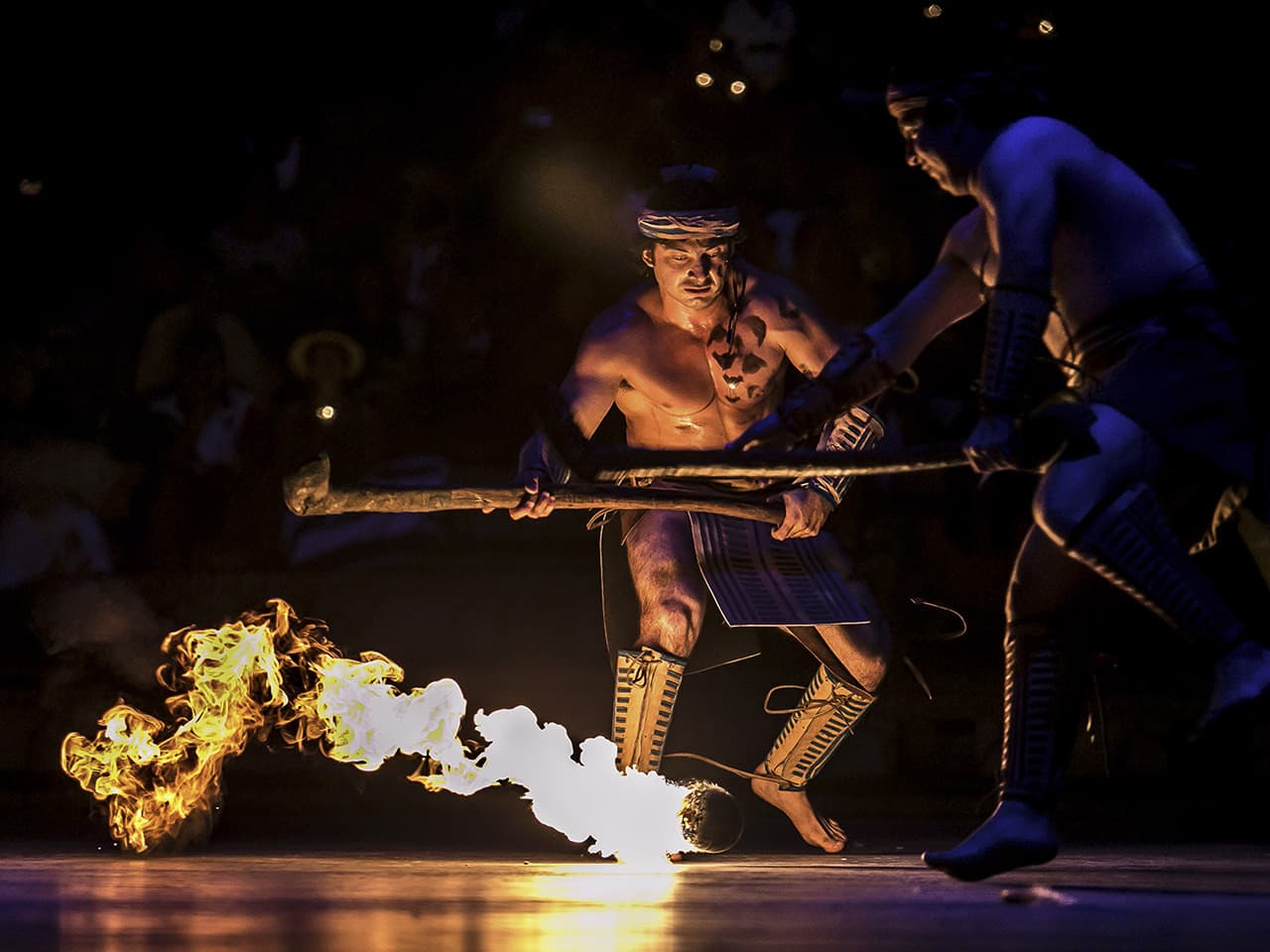Go City Cancun All-Inclusive Pass Plus: Save up to 50% on Attractions - image 11