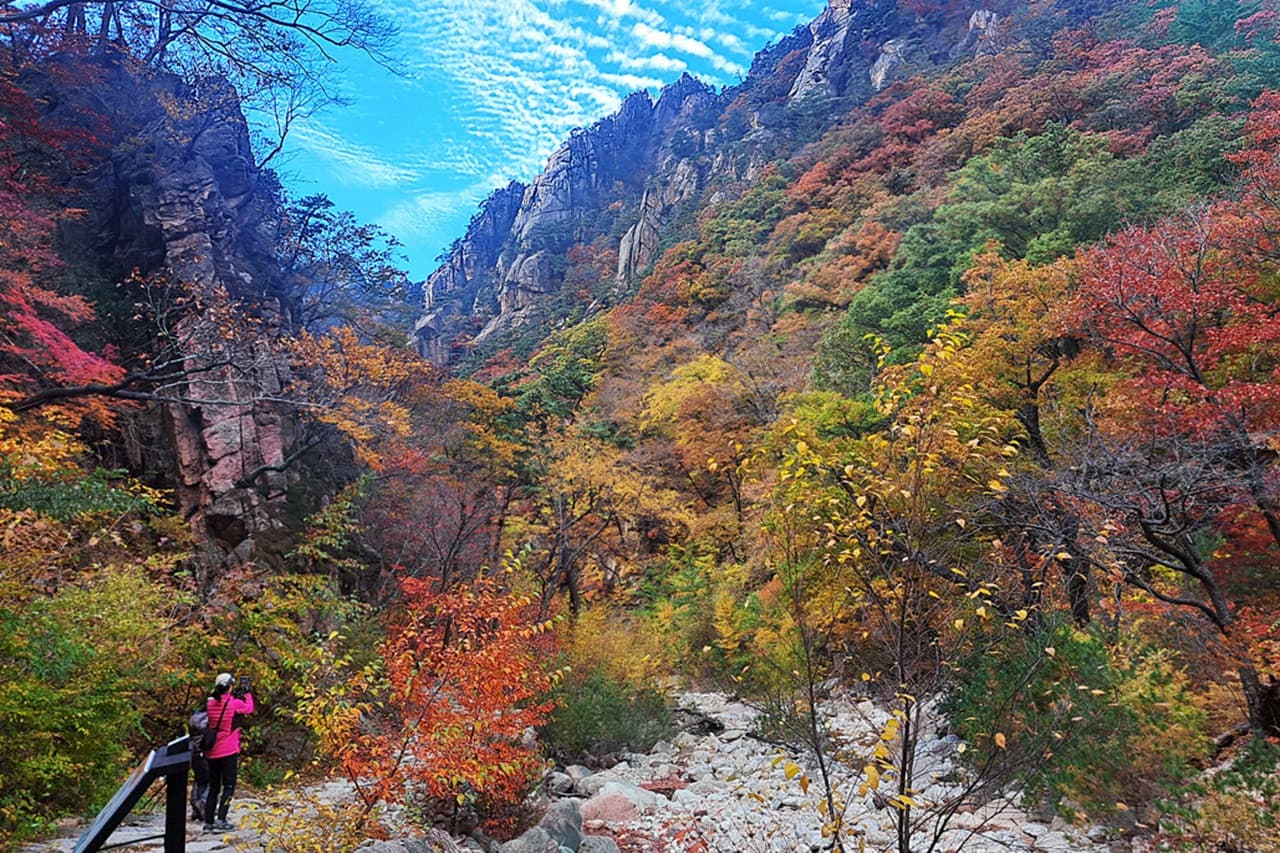 Nami Island, Mount Seorak, and Gapyeong Rail Bike Full-Day Tour from Seoul - image 4