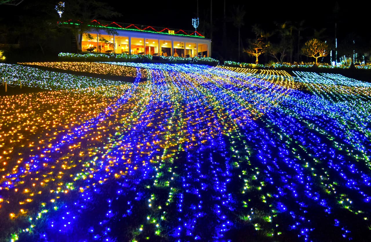 Okinawa Southeast Botanical Gardens - image 19
