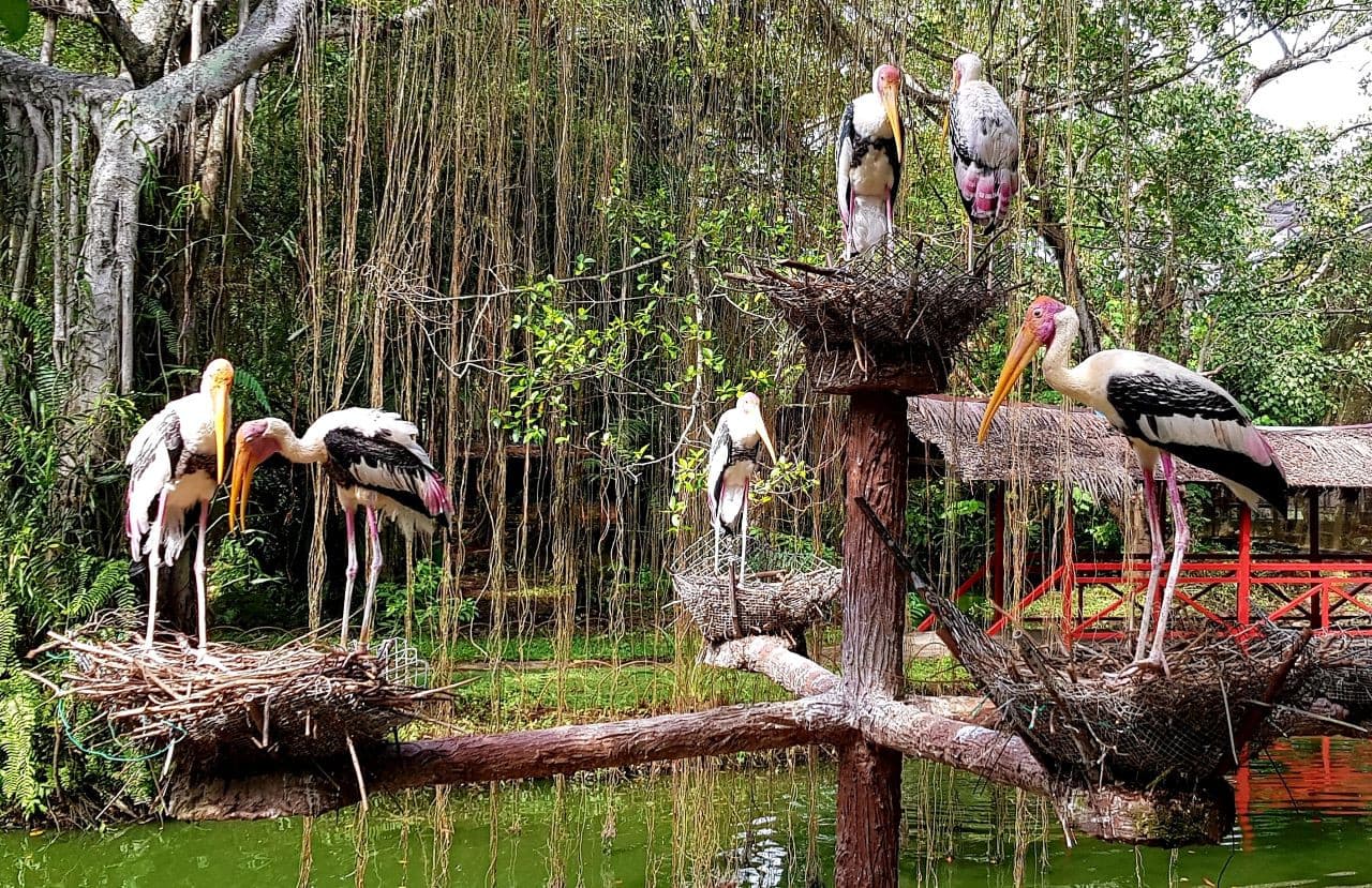 Penang Bird Park - image 2