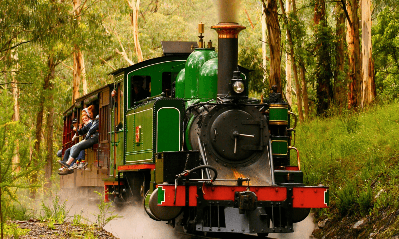 Puffing Billy Steam Train Half-Day Tour - image 3