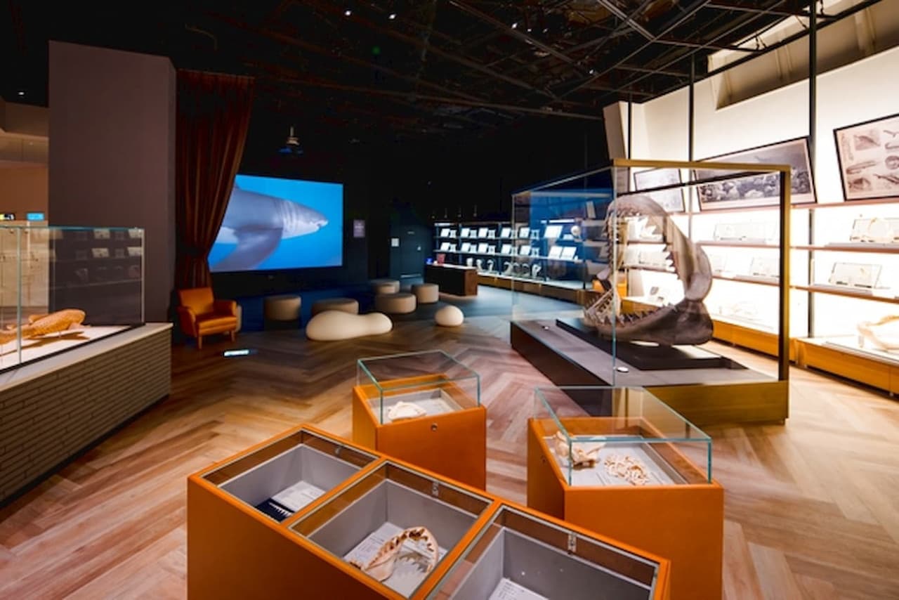Entrada para Aqua World Ibaraki Prefectural Oarai Aquarium - imagen 9