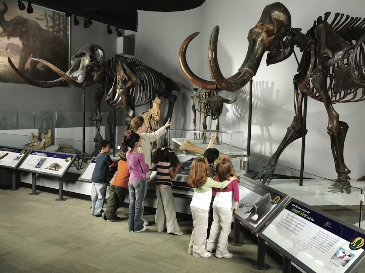 The Field Museum of Natural History Ticket - image 3