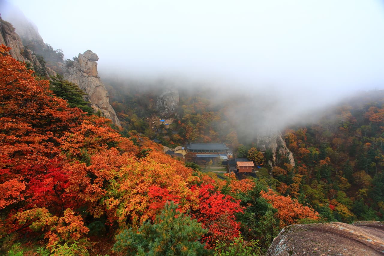 Mt. Seorak National Park Autumn Foliage One Day Tour from Seoul - image 2