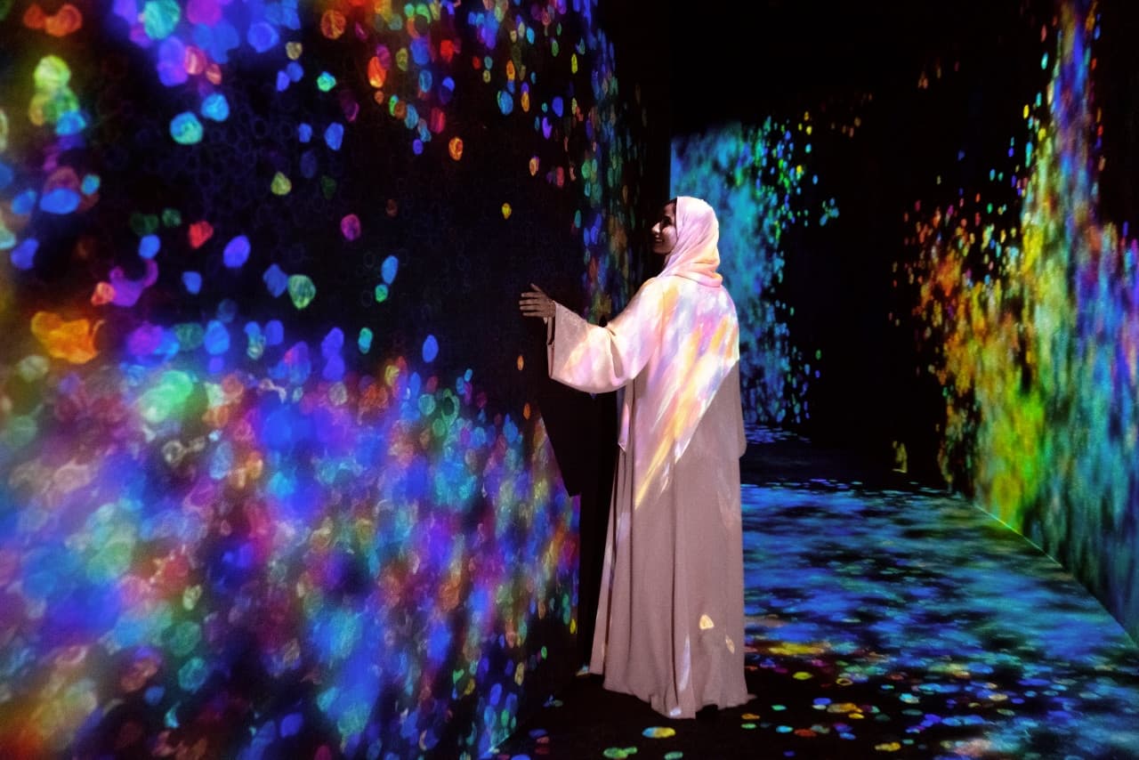 teamLab Phenomena Abu Dhabi Ticket - image 3
