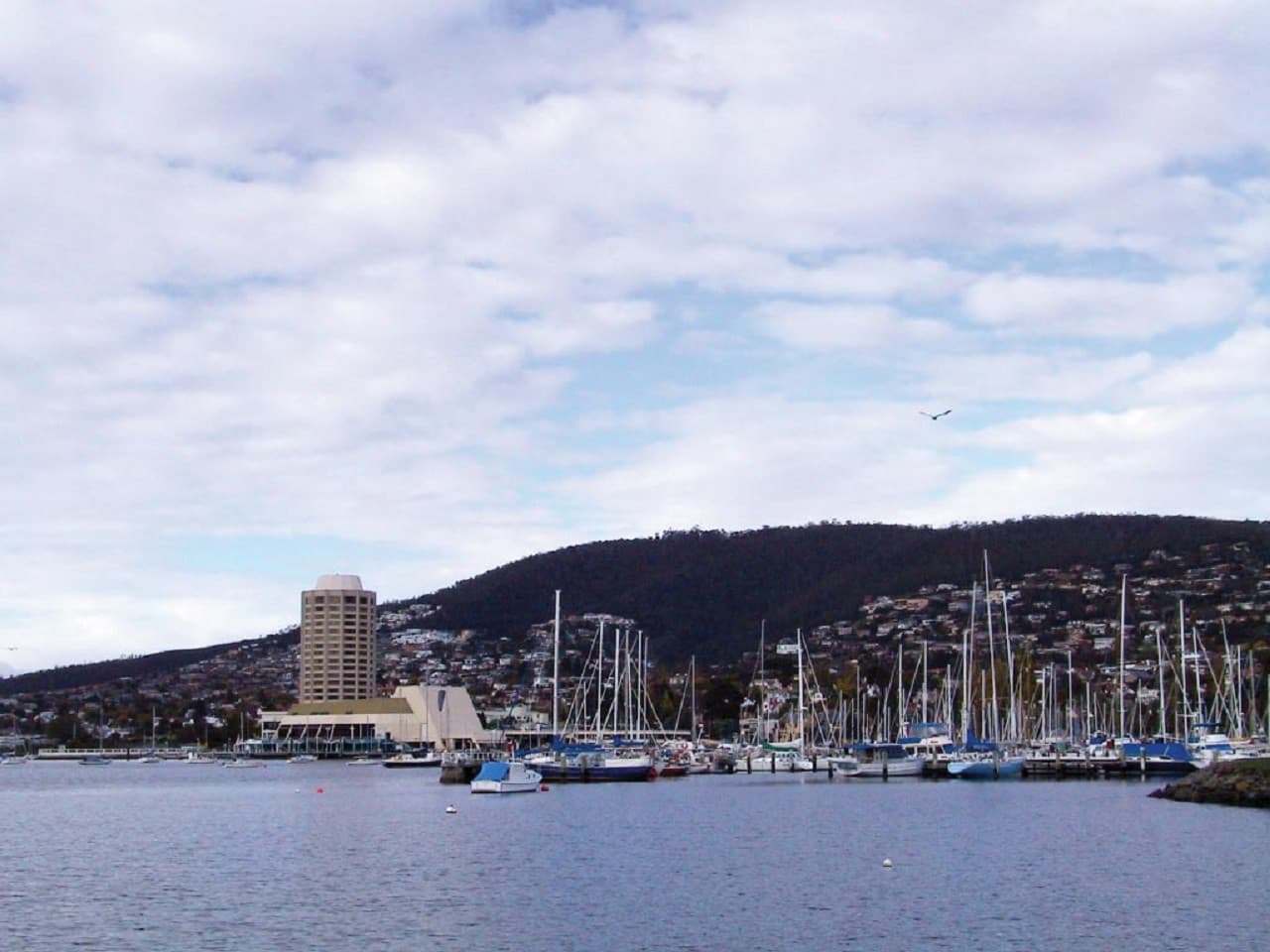 Sullivan's Cove and Hobart City Tour - imagen 19