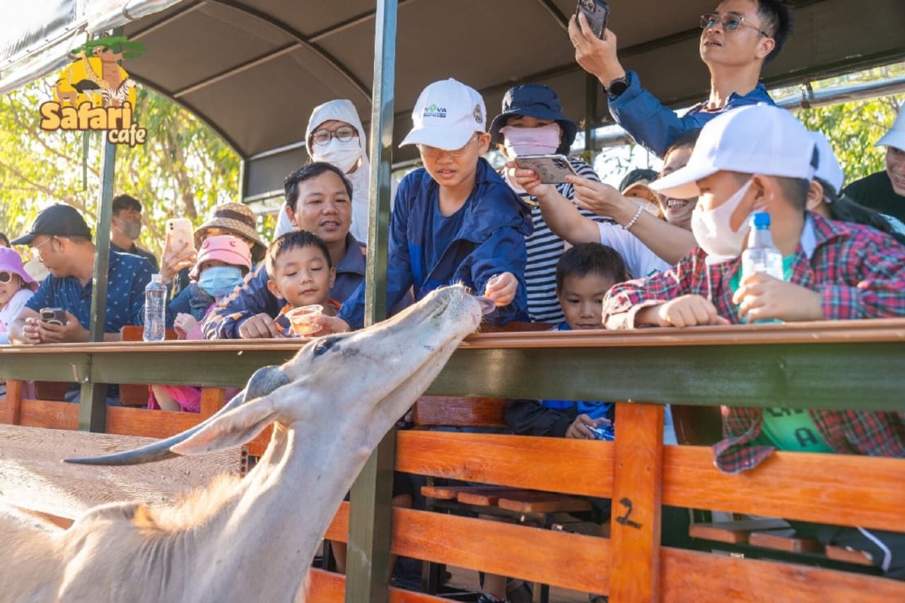 Novadreams Phan Thiet Ticket - image 14