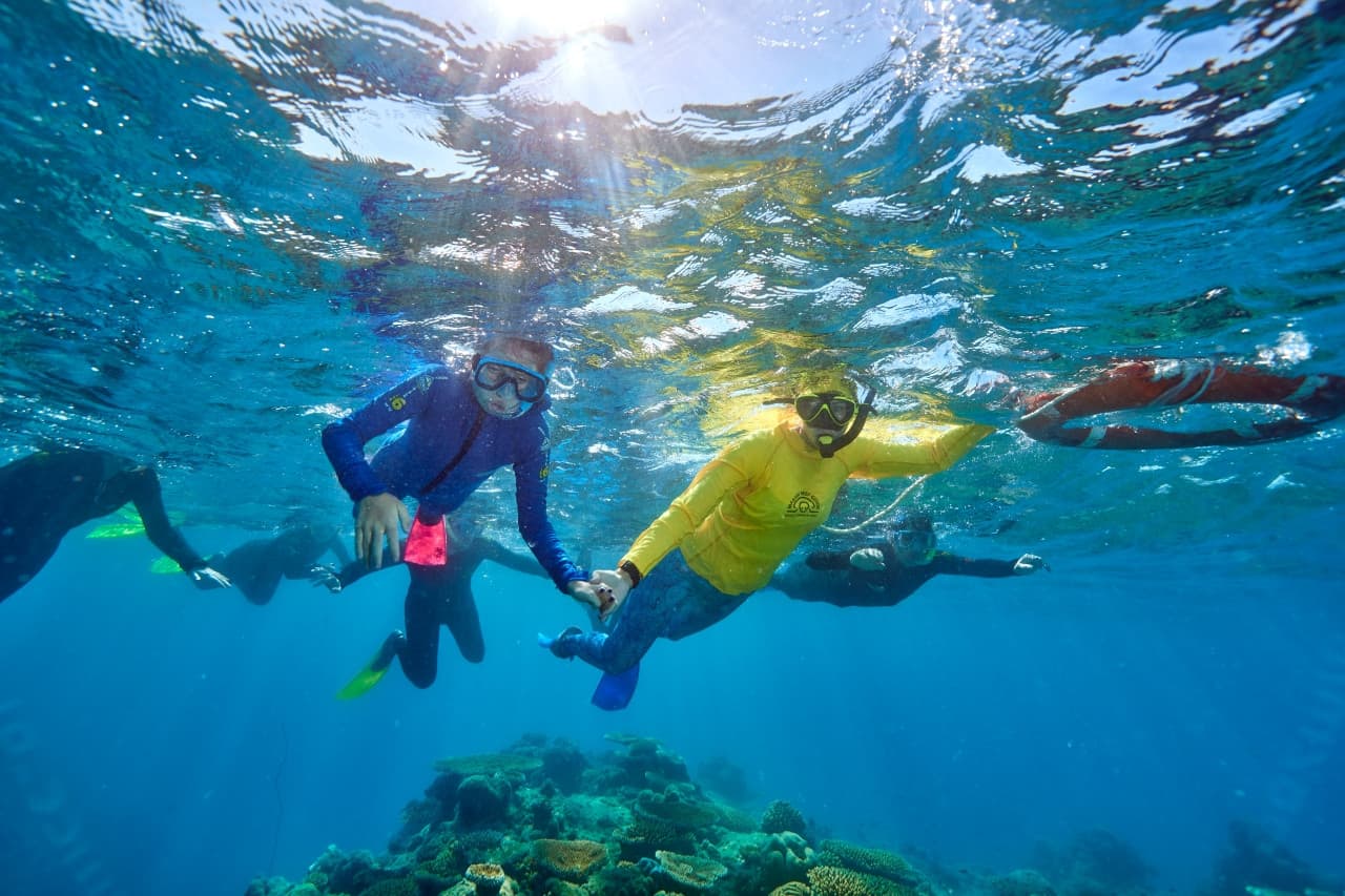 Green Island Great Barrier Reef Half Day Tour from Cairns - image 6