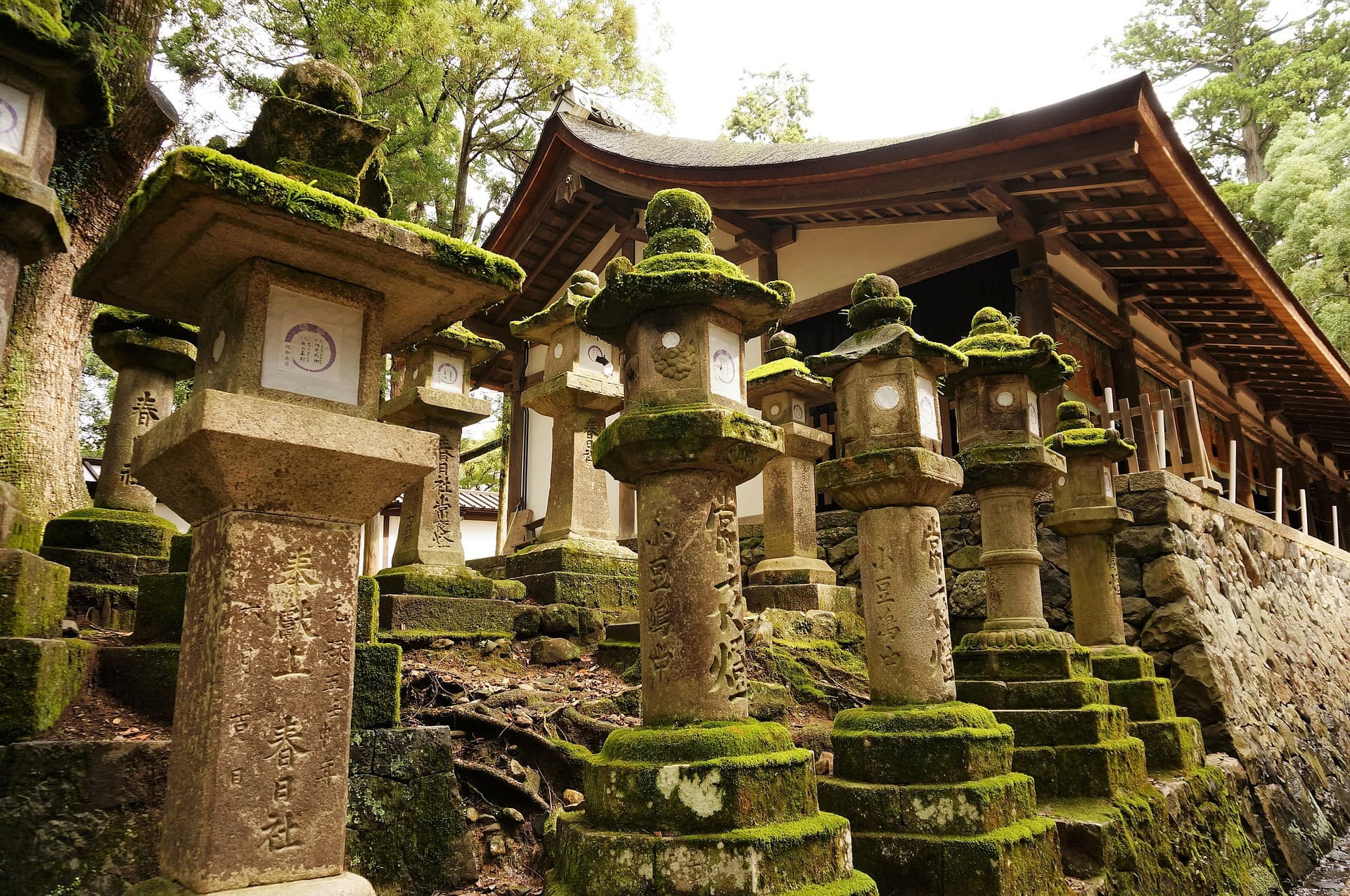 Nara Tour from Kyoto - imagen 4