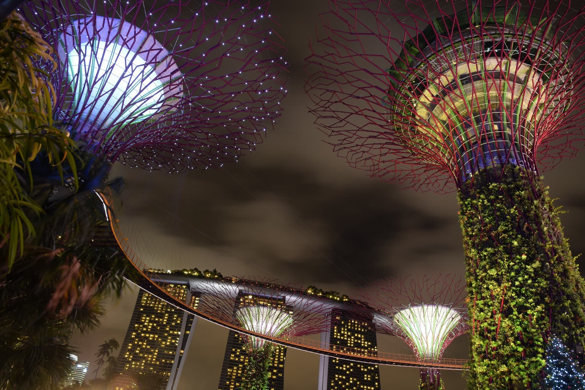 Gardens by the Bay Ticket - image 20