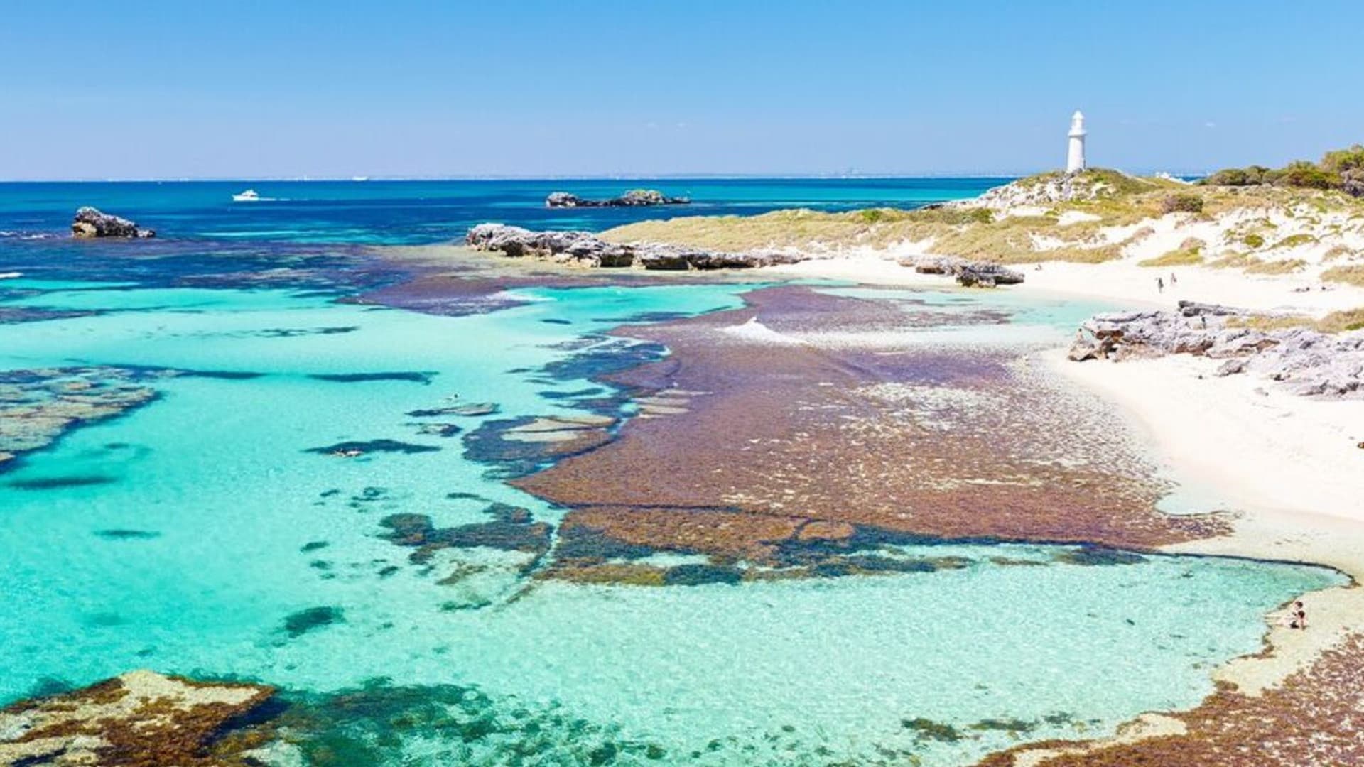 Rottnest Island Fortress Adventure Segway Tour with Round Trip SeaLink Ferry Transfer - 이미지 3