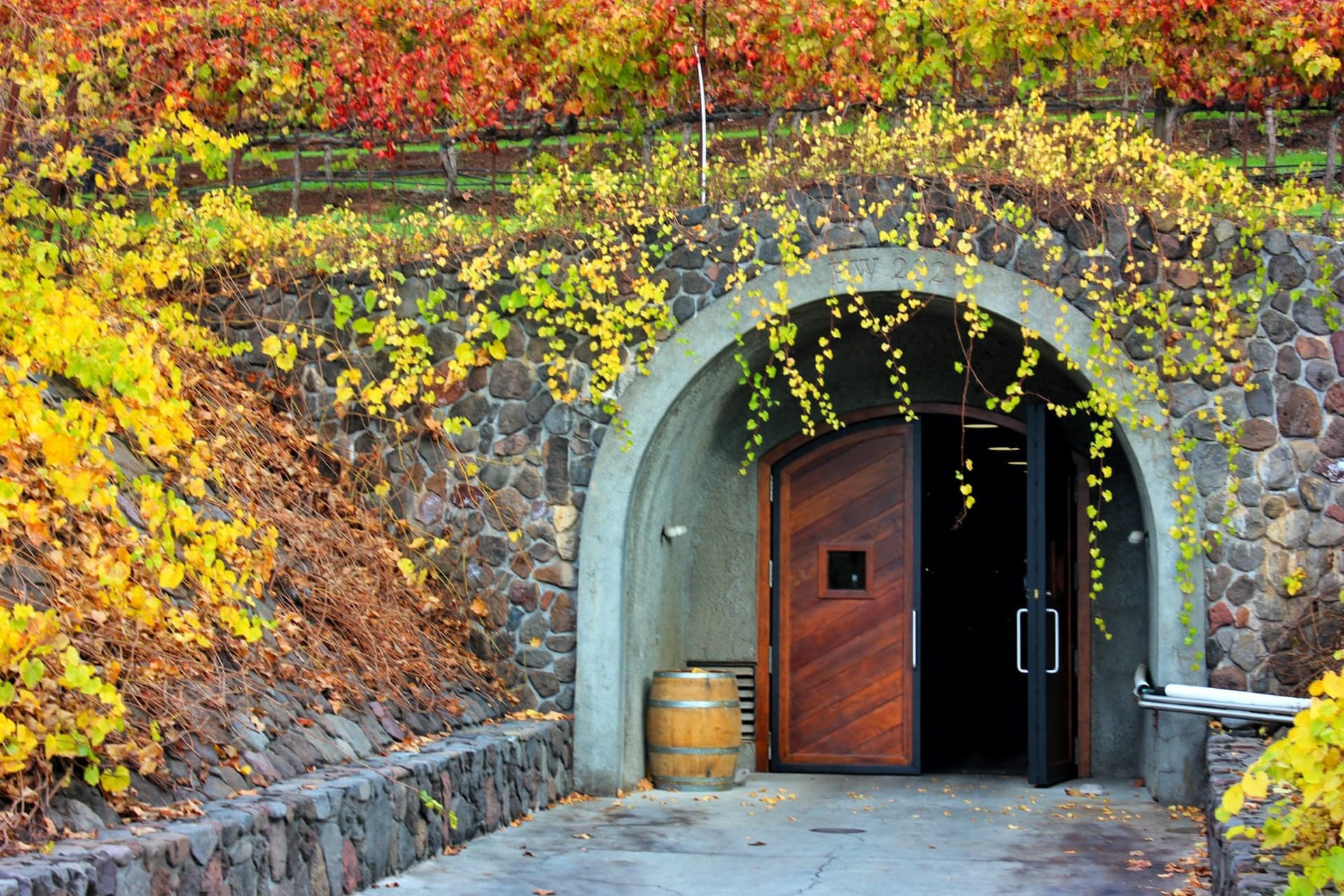 From San Francisco: Full Day Napa Valley Wine Tasting Tour - image 9