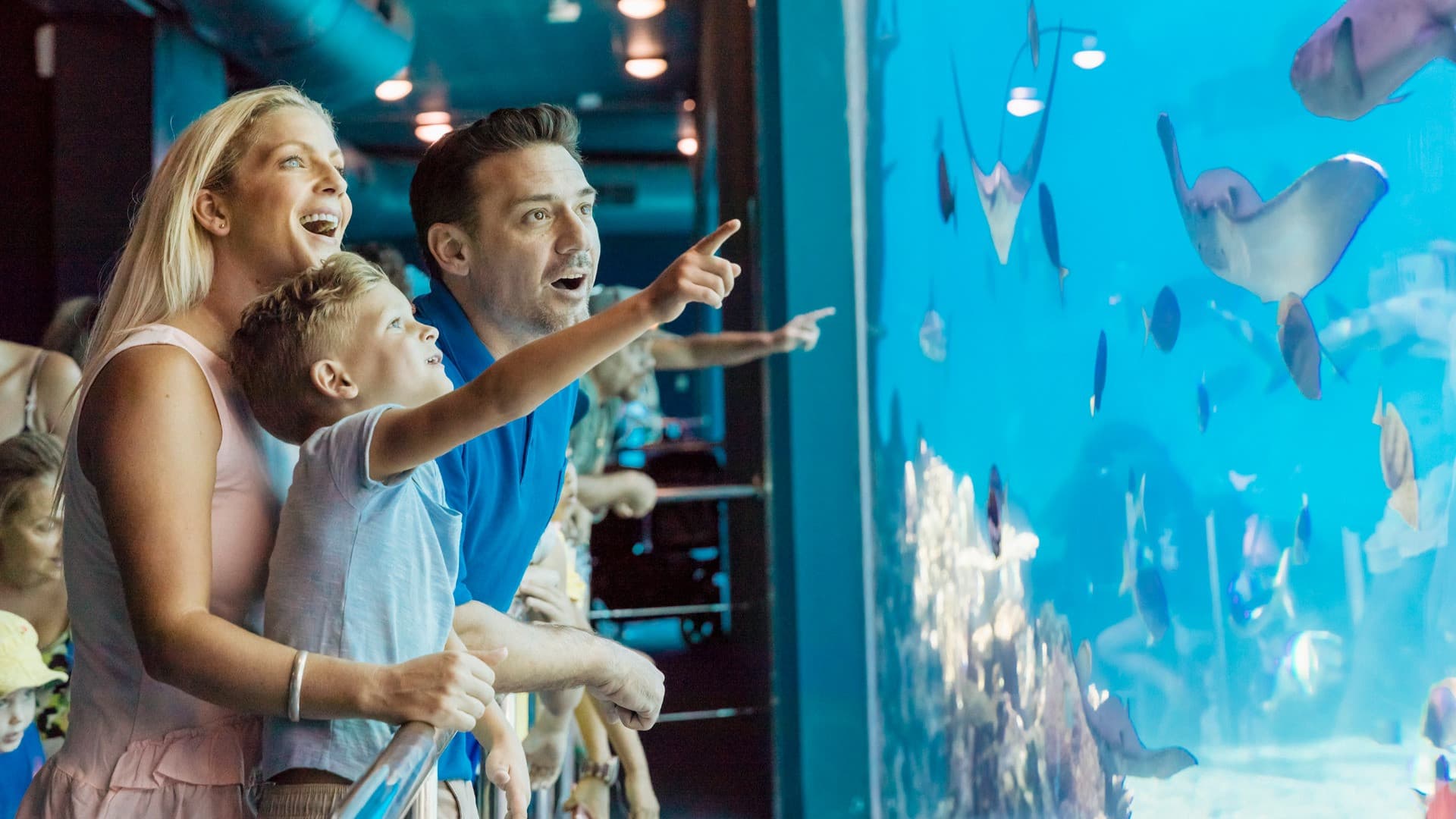 Gold Coast Warner Bros. Movie World, Sea World, Paradise Country and Wet'n'Wild Multiday Pass - image 3