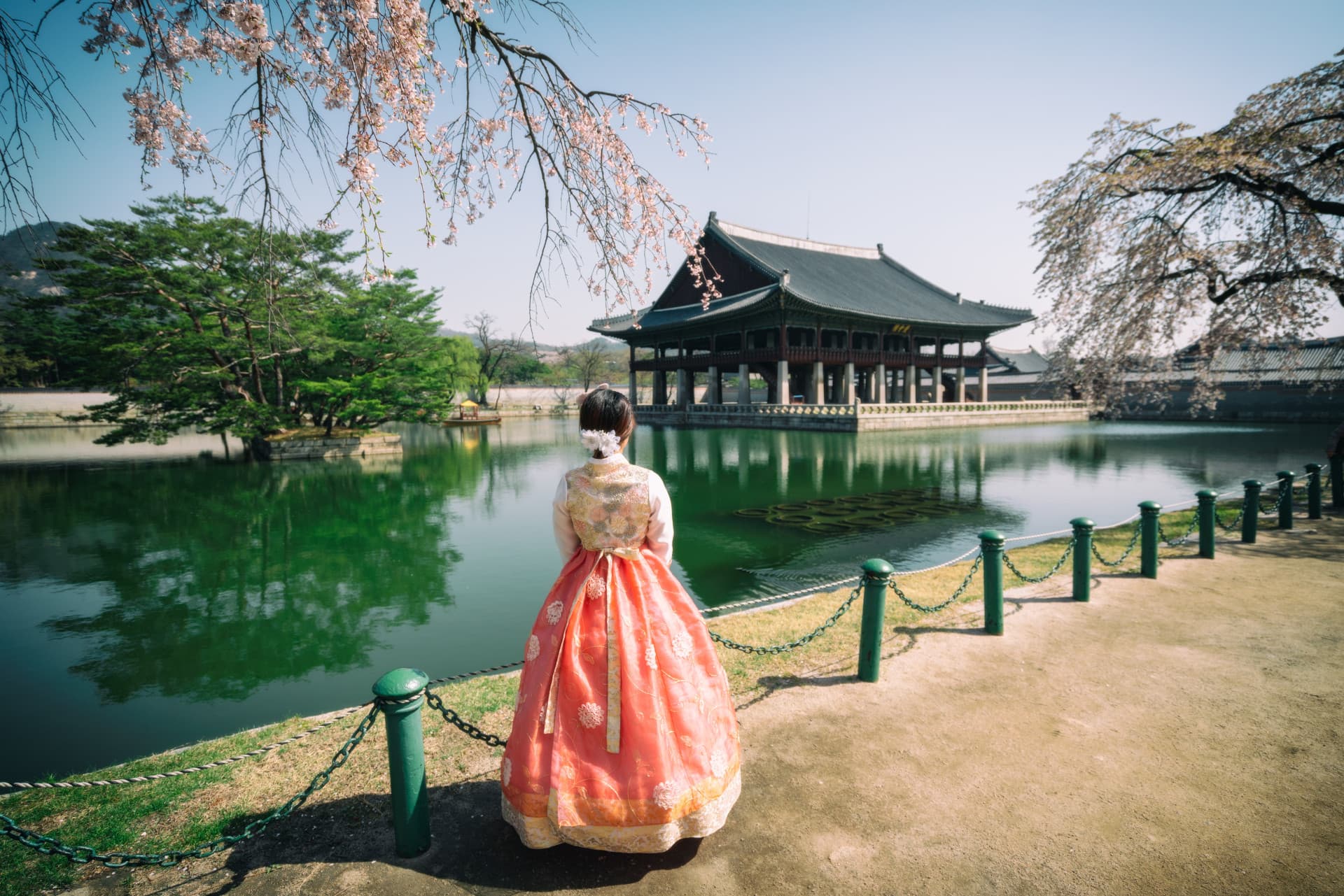 Professional Photo Shoot in Seoul - image 3