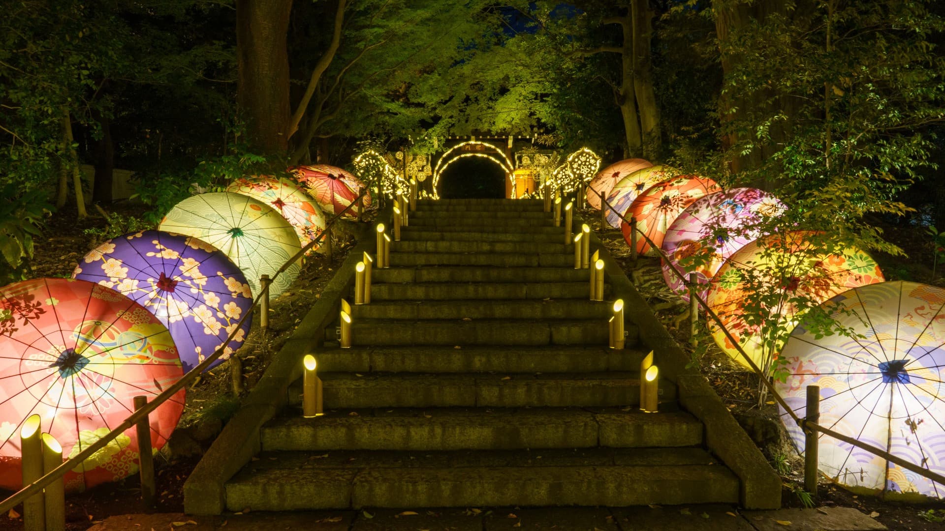 Yomiuriland Amusement Park Ticket - image 10