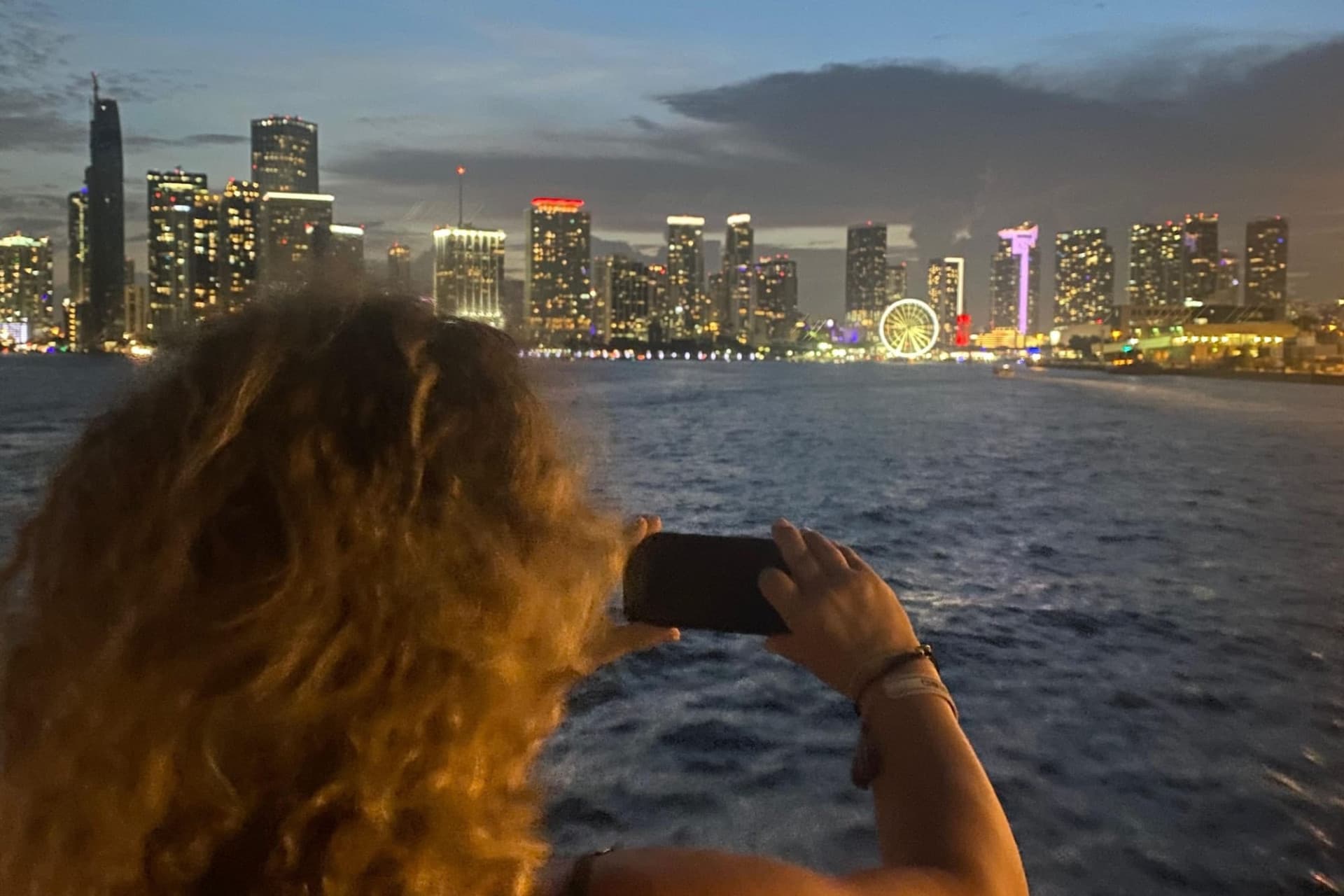 Miami Skyline Cruise of Millionaires’ Homes and Biscayne Bay - image 6