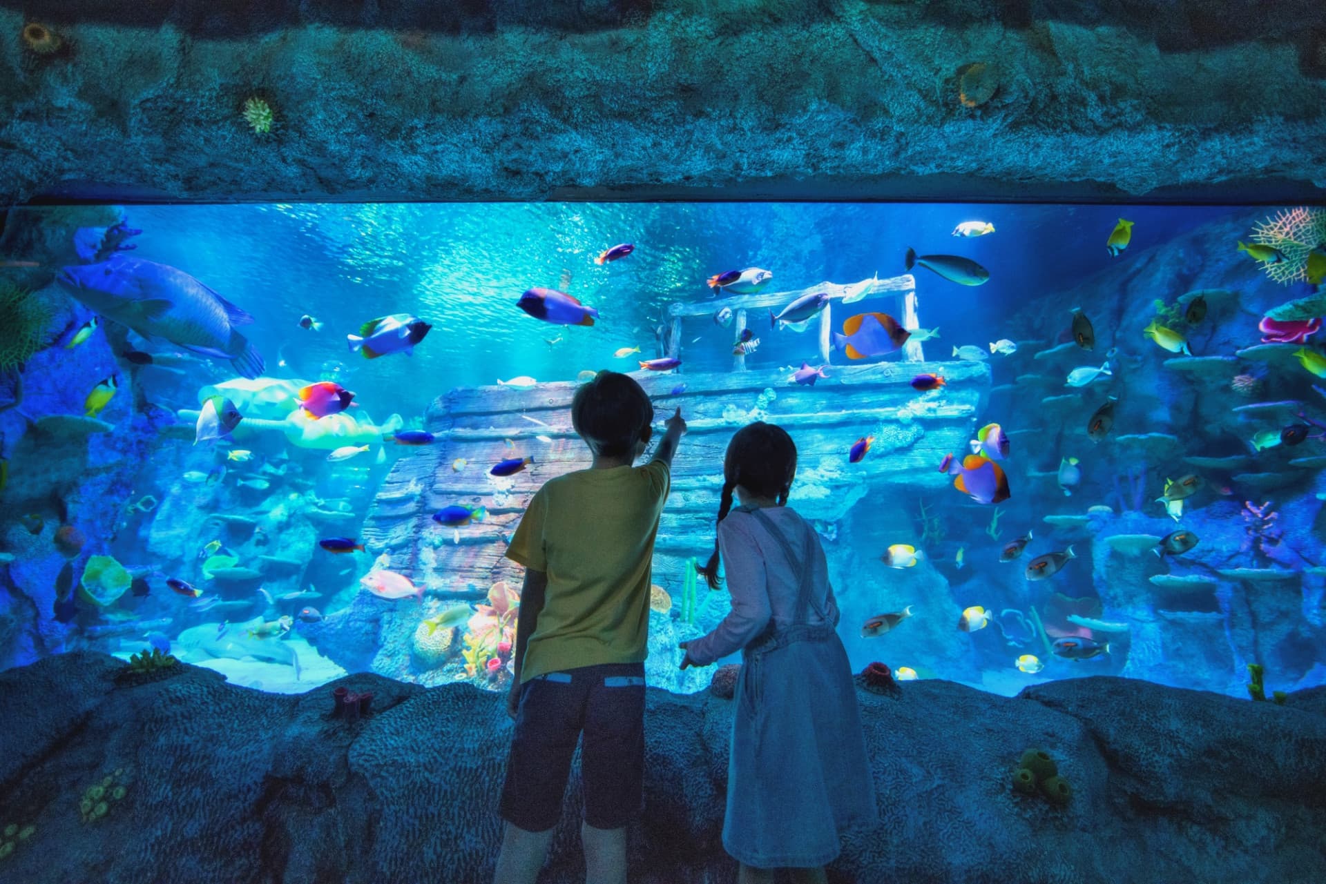 Go City Singapore All-Inclusive Pass: Save up to 50% on Attractions - image 11