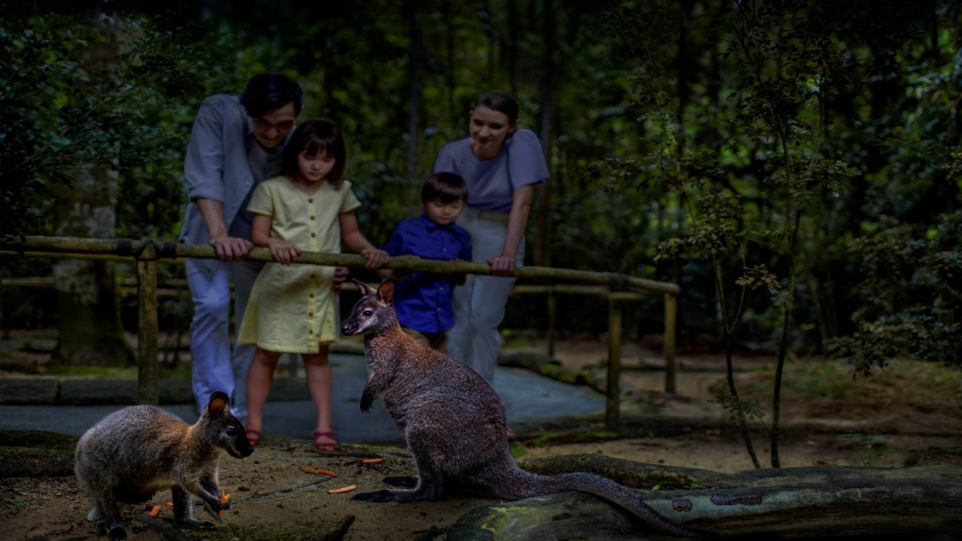 Mandai Destination Pass: Up to 2 Attractions in 1 Day - image 2