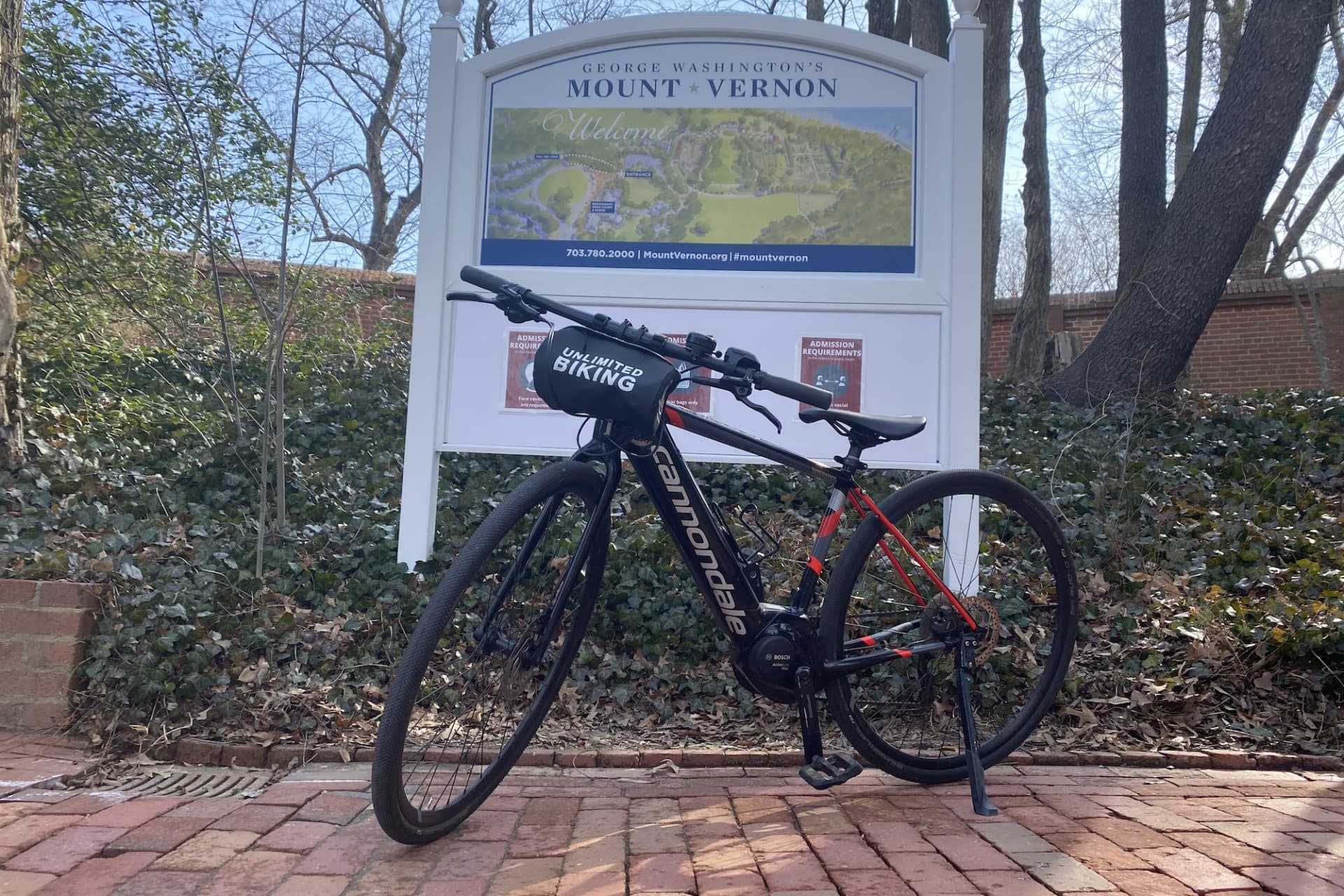 Washington DC Bike Rental at Old Town Alexandria - image 7