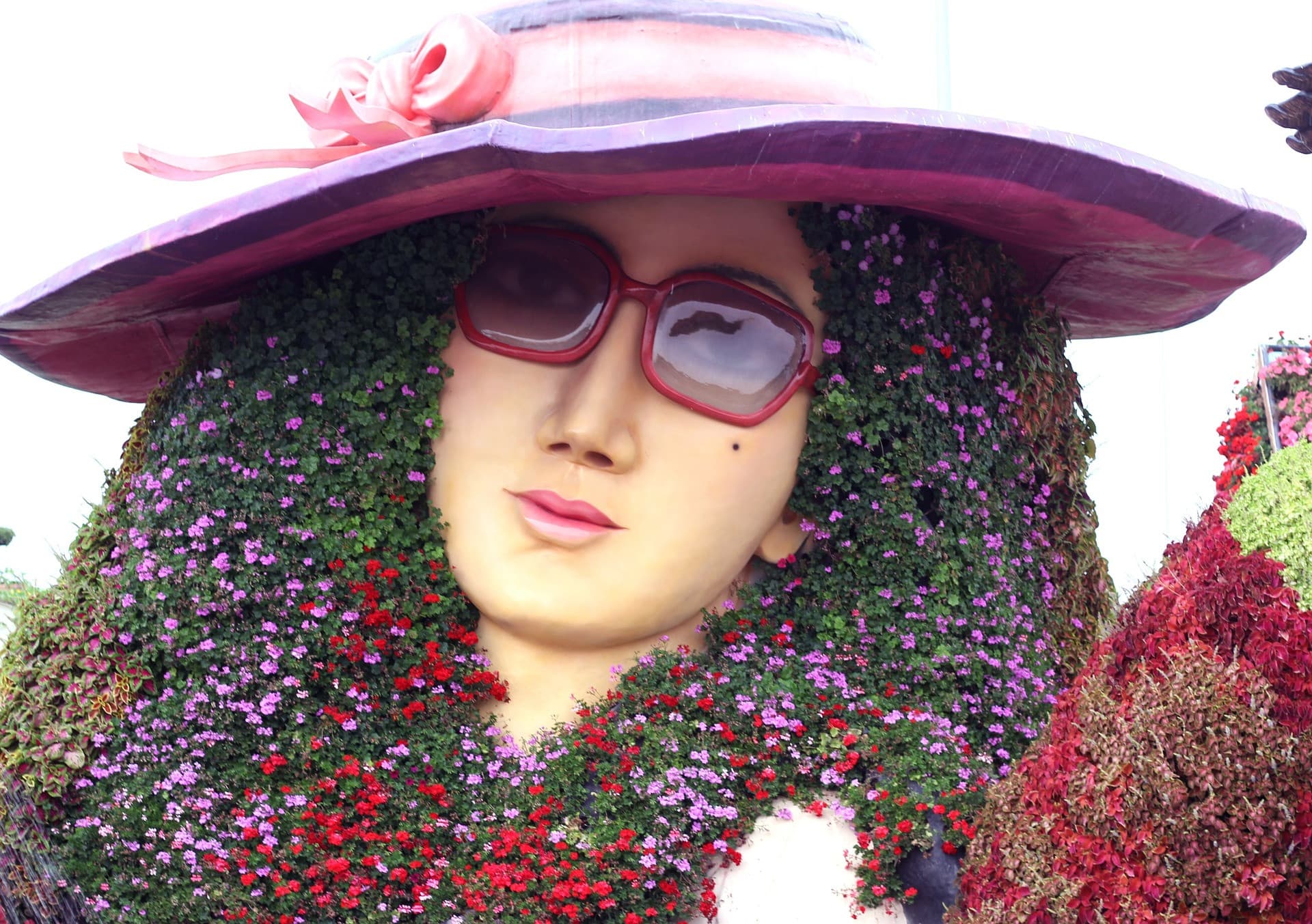 Dubai Miracle Garden Ticket - image 9